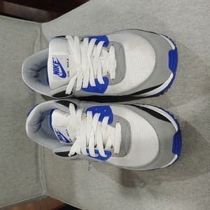 Nike Air Max 90Recraft Royal -used